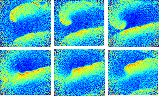Membrane Mechanics Placeholder